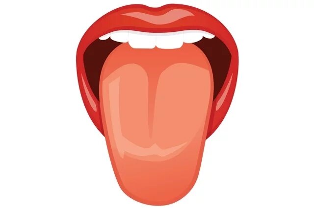    На какие болезни указывает цвет языка?