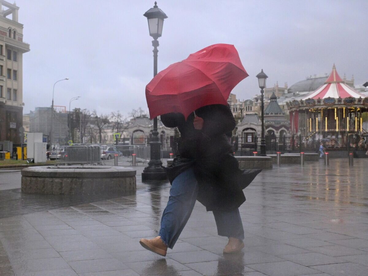    Шквалистый ветер и ливень в Москве© РИА Новости / Алексей Никольский