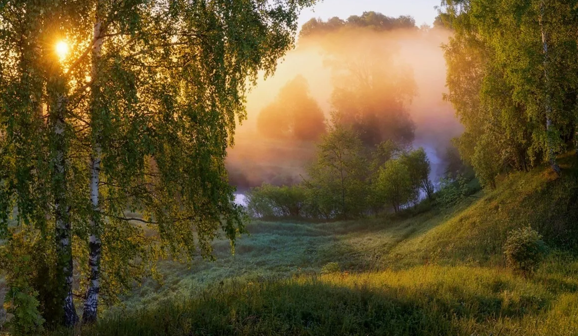 Яндекс картинки