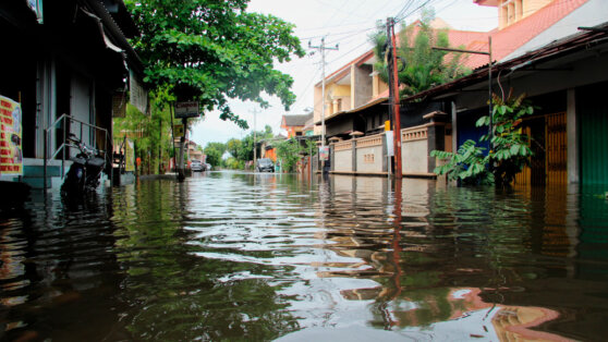    155.000 жителей Бразилии остались без крова из-за стихии, 100 человек погибли Сергей Бунеев
