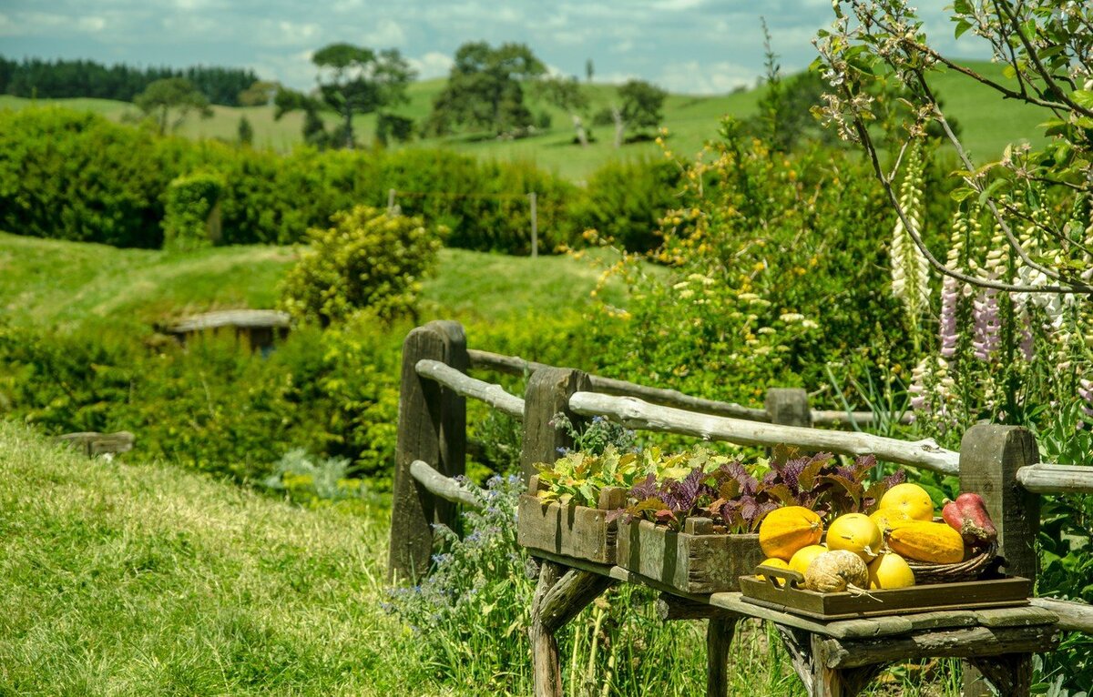 был в деревне самым мудрым
