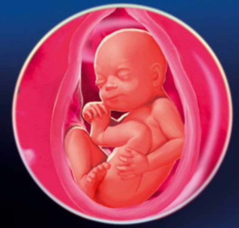 Картинка из интернет источника