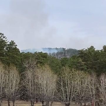    Фото: Очевидец