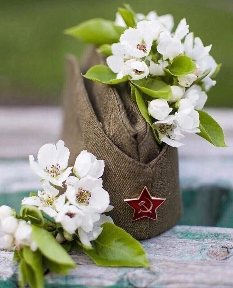 Фото из интернета.