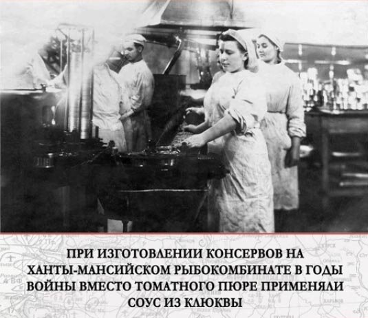    Кормили, одевали, вооружали. Как югорчане приближали Победу