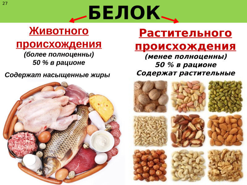 Какие белки полезны. Белки животного происхождения. Белки животного и растительного происхождения. Растительные и животные белк.. Продукты источники белка животного происхождения.