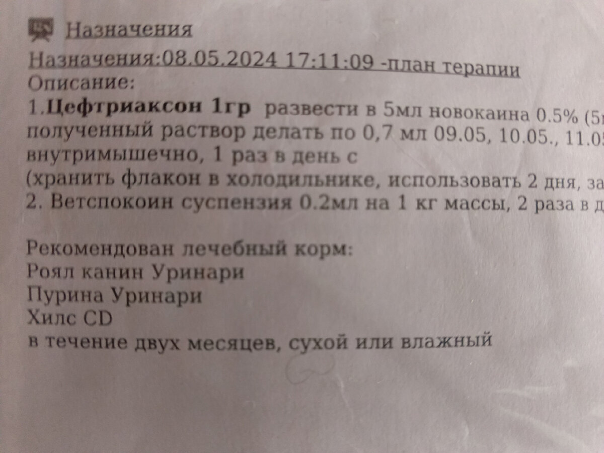 Привыкли сидеть на всём готовом и детьми прикрываться