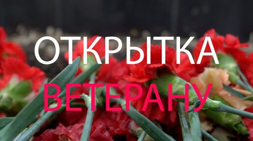 Открытка ветерану. ТК «Первый Советский»