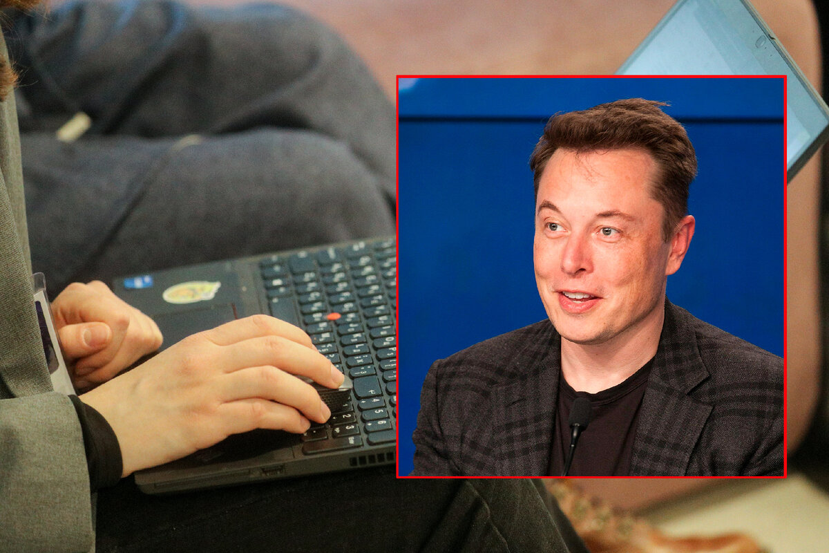 Фото: Belkin Aleksey/GlonalLookPress, Kim Shiflett/Globallookpress. 