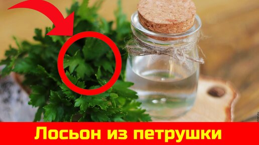 Петрушка для лица: маски, соки и отвары, лосьоны от прыщей