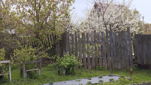 Мой никчемный день на огороде. Снег, дождь, холод. Начало мая.