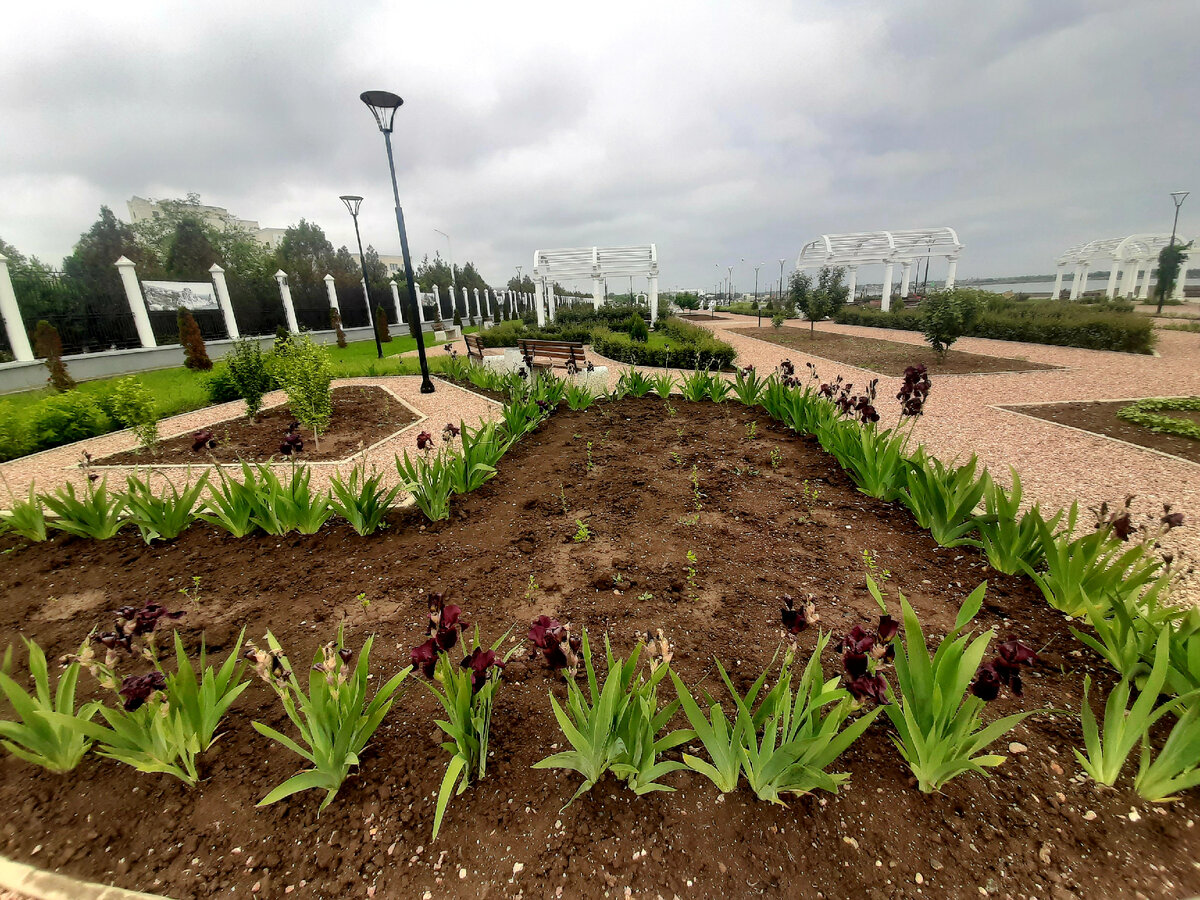 Сакская набережная после дождя.