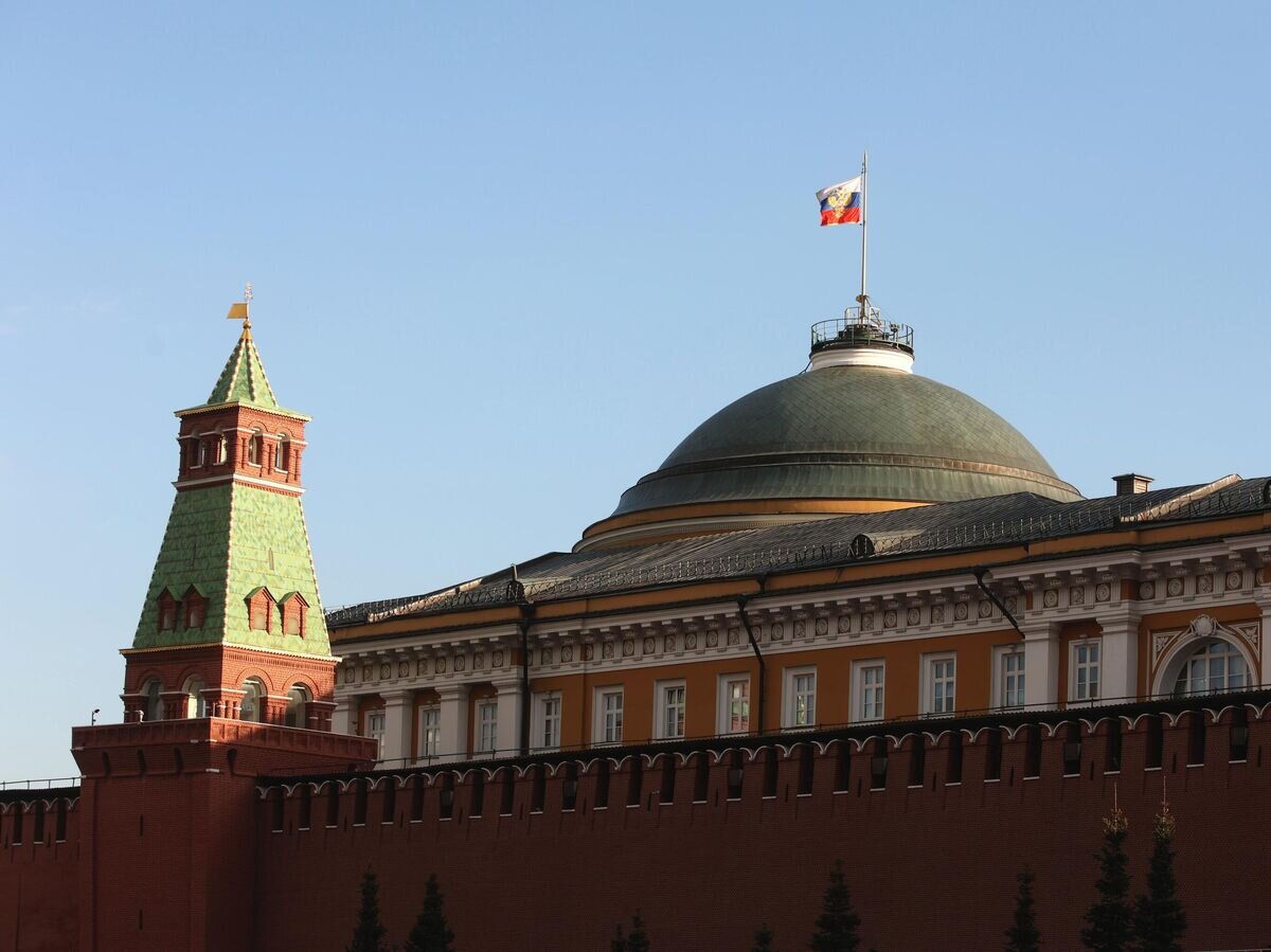    Президентский штандарт на куполе Сенатского дворца Московского Кремля© РИА Новости / Виталий Белоусов