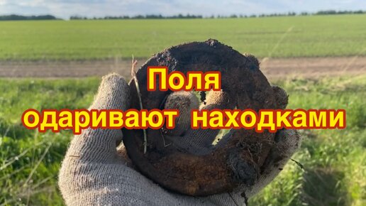 Находки у поля. Поиск металлолома на пустырях возле полей