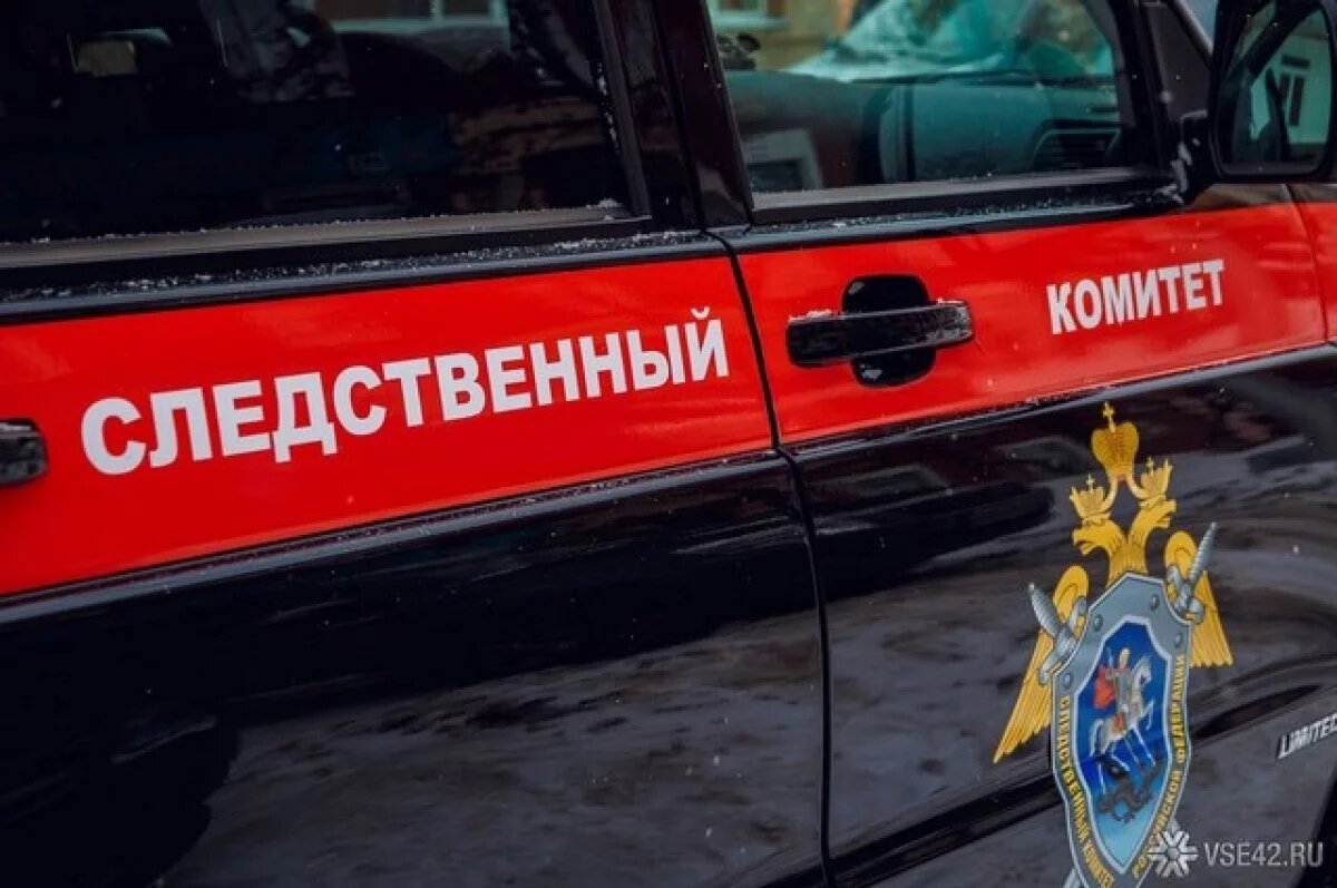    Следователи проверяют, как содержали животных на ставропольском конезаводе
