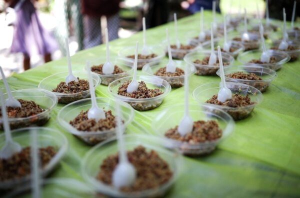 Фото: РИА Новости/Виталий Тимкив