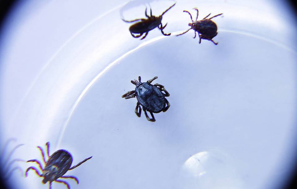 Источник: ТАСС