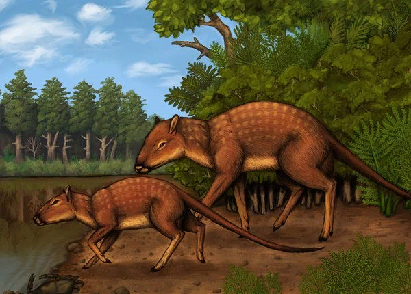 Предок китов и бегемотов - индохиус