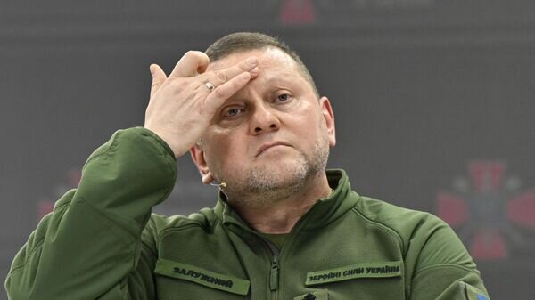    © AFP 2024 / GENYA SAVILOV
