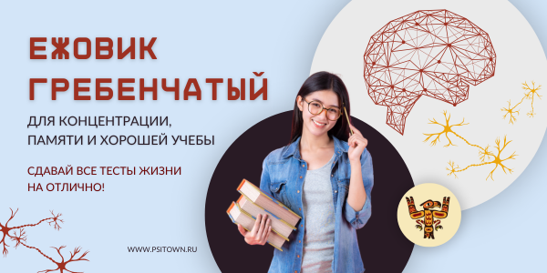 Ежовик Гребенчатый