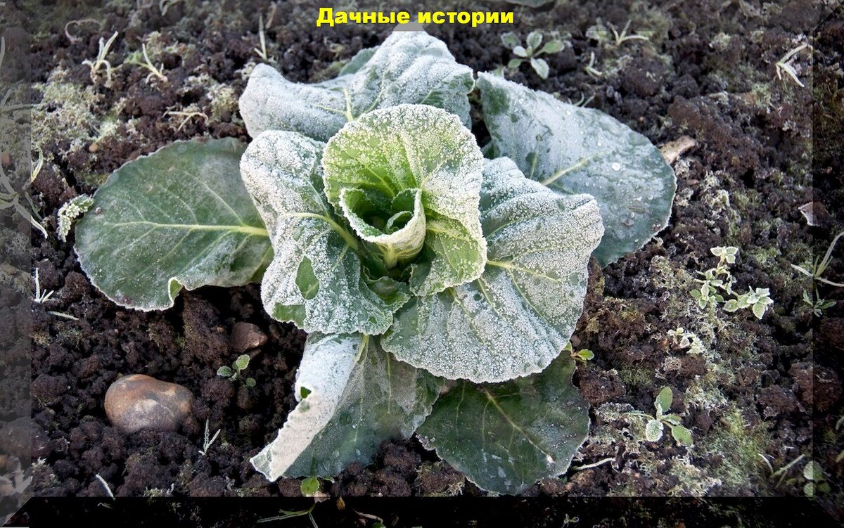 https://vk.com/photo-159774511_457265511