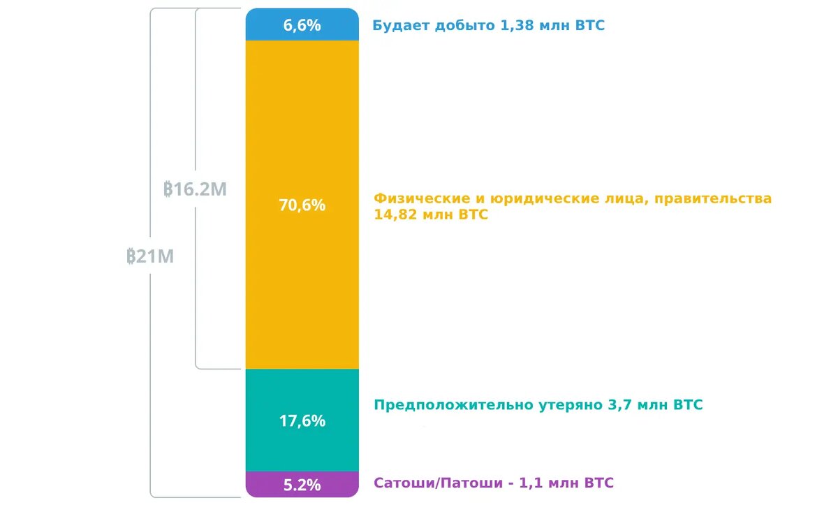 Диаграмма распределения BTC (2024 год)