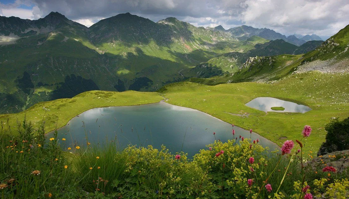 Фото из интернета