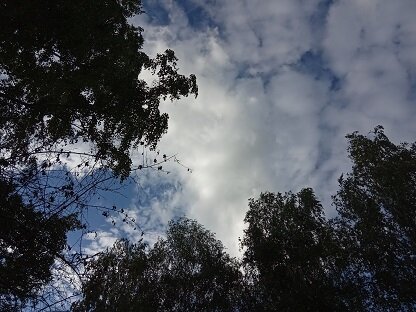 Фотография из личного архива автора