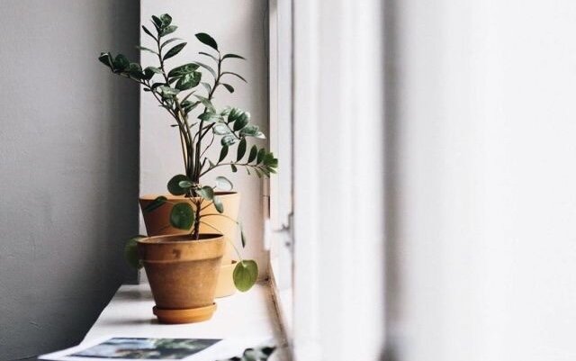 Фото из Pinterest – https://pin.it/3RHfbEQ6O