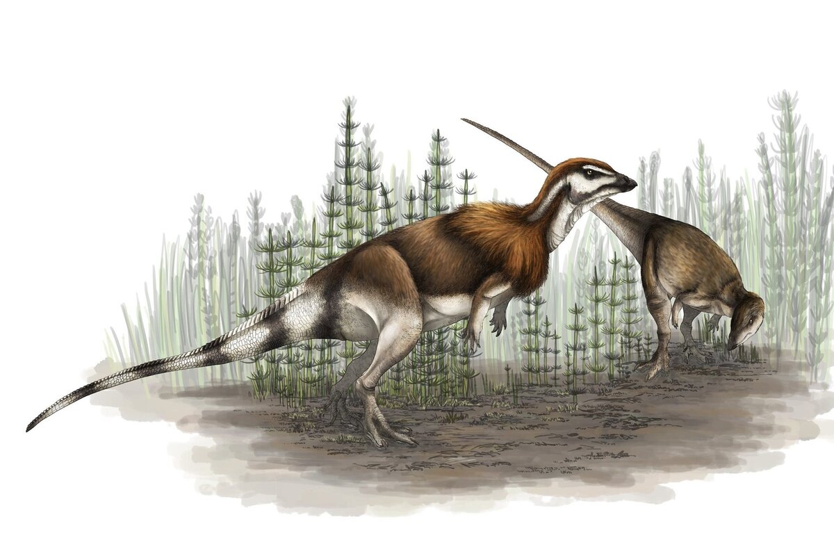 Грозный взгляд к месту, когда рядом есть укромная норма, чтобы вовремя спрятаться.