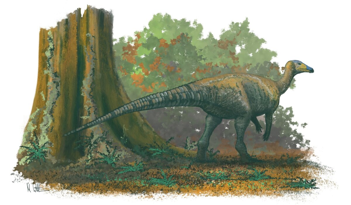 Хвост струной.