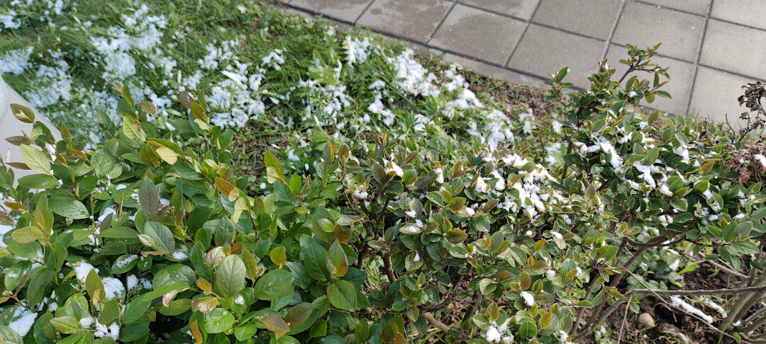 Фото автора) не реклама