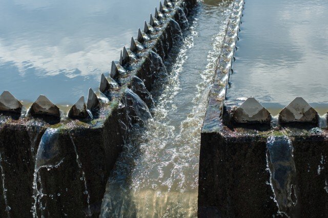   Фото из архива Калининград.Ru