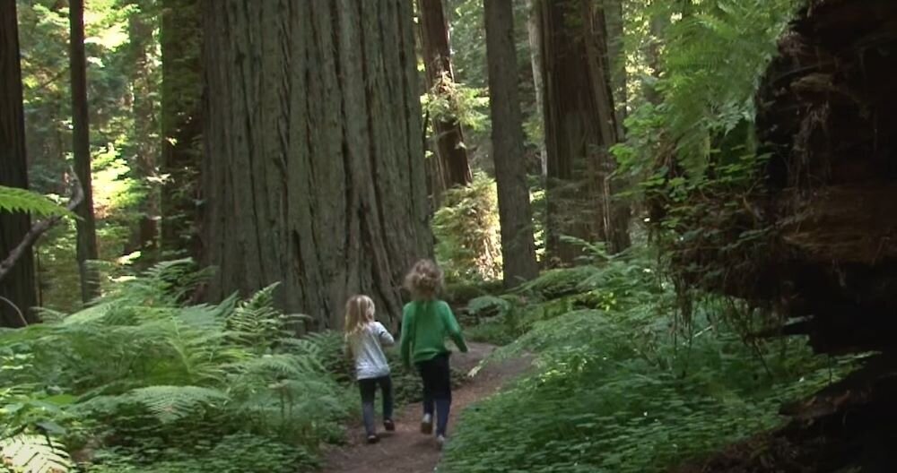 Фото: Kirsten Dirksen/faircompanies.com