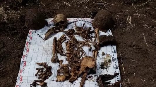     Источник: Администрация Чернышковского района