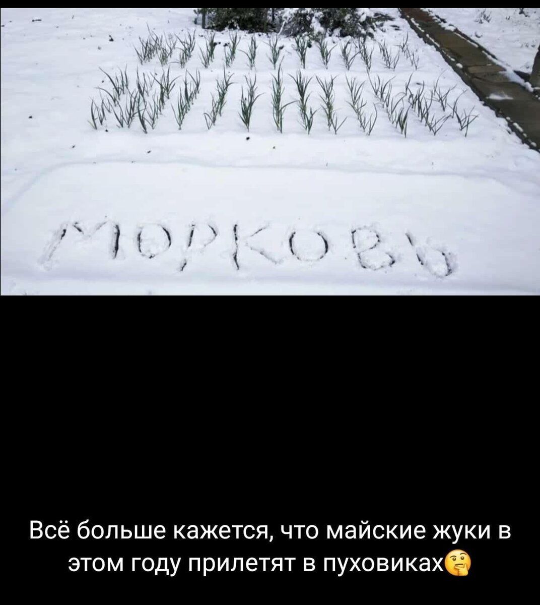 Фото фото взято из интернета 