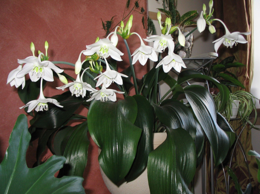 Яндекс картинки 