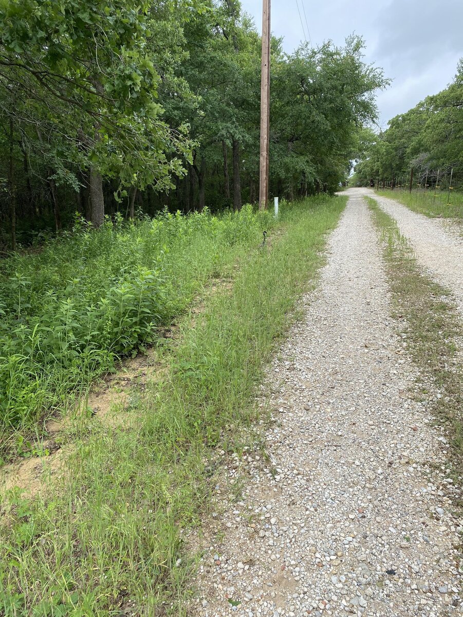    Маскировка: 99%.