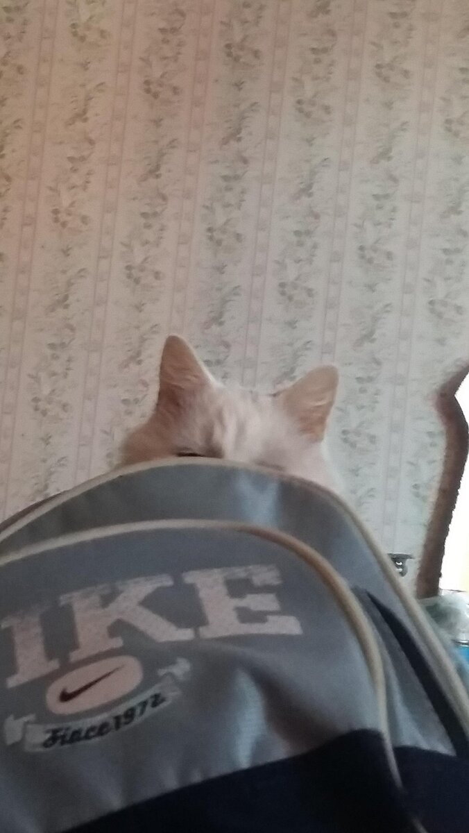    Сама скрытность..