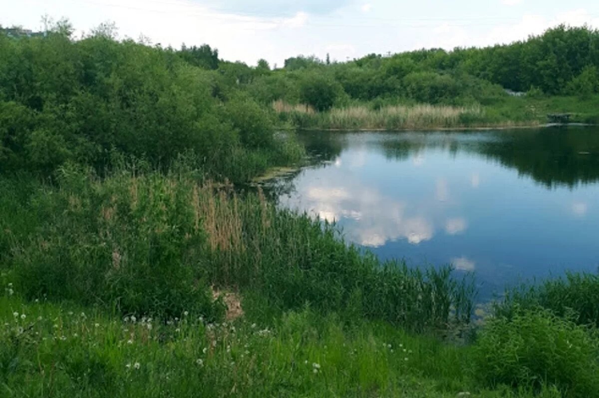    Нарушения в содержании противопожарных водоемов нашли в Кольчугино