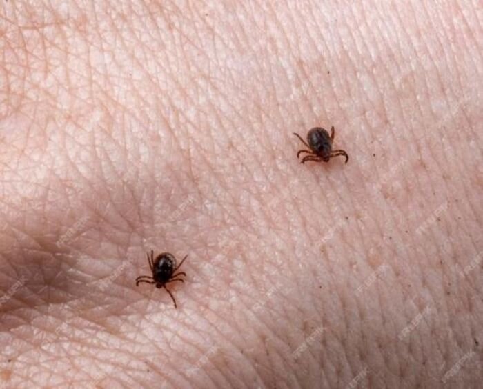 Источник фото: фото из открытых источников - для иллюстрации