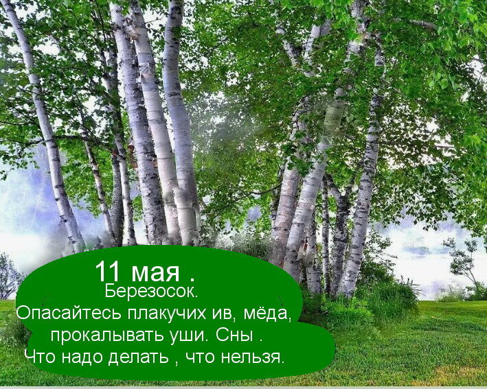 Источник :  Яндекс  картинки. 