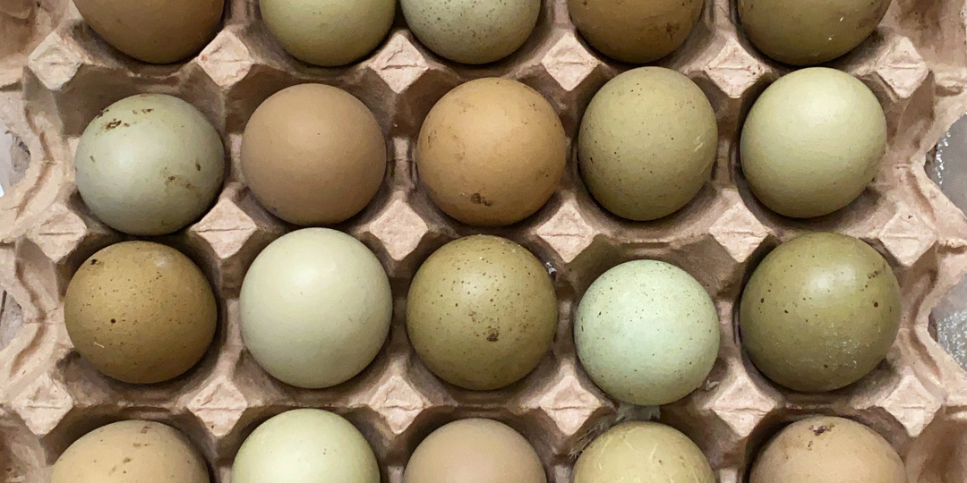 💚💚💚Зелёные яйца? Легко!