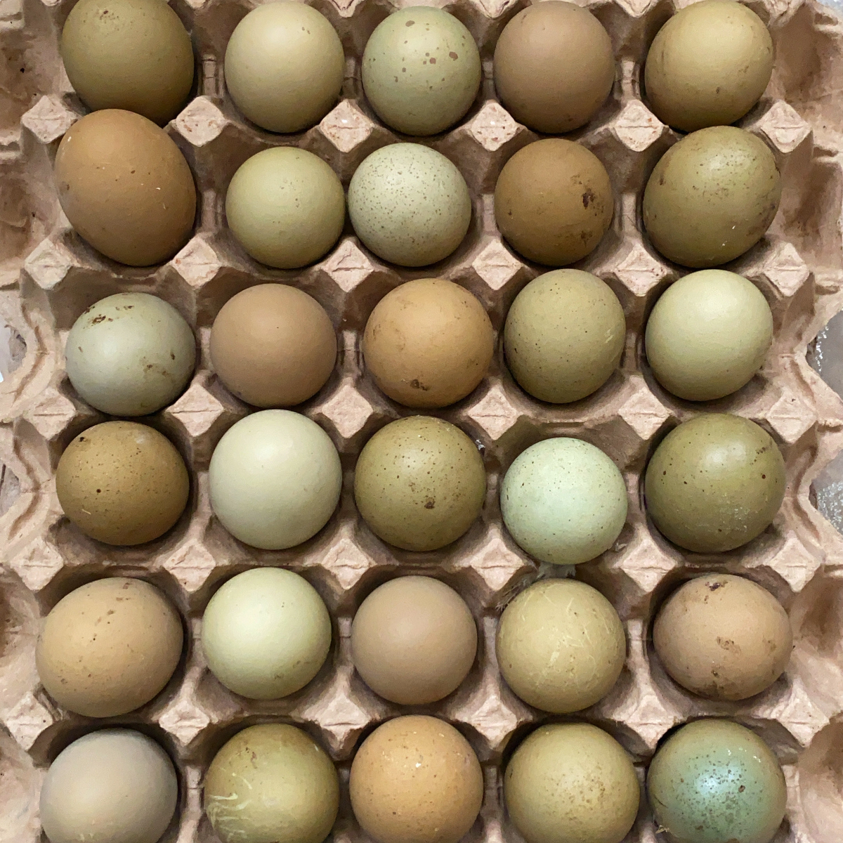 Вот такая красота