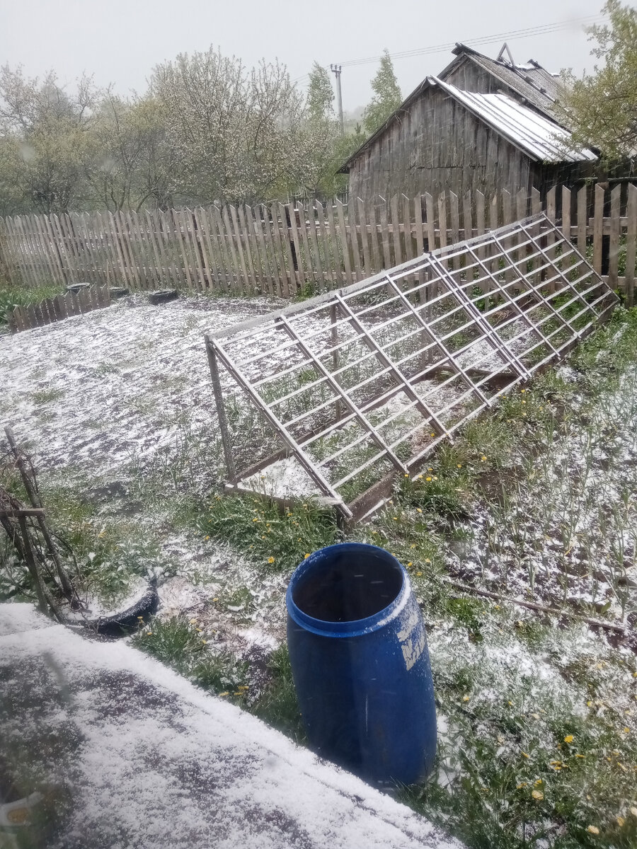 На улице холодно🥶 я заболела. Дела по дому. | Кира... 🌸 | Дзен