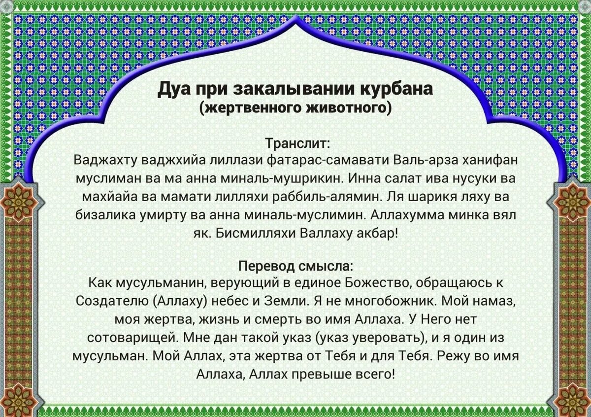 Курбан-байрам 2024: что обязательно сделать мусульманину до 16 июня – суть,  дуа, правильное жертвенное животное – что можно и что нельзя | Драга.Лайф |  Дзен