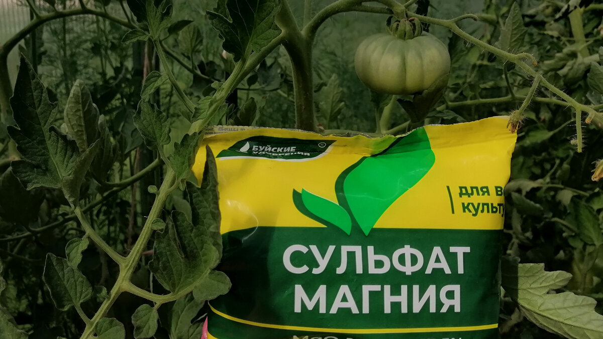  Используем сульфат магния и медный купорос.