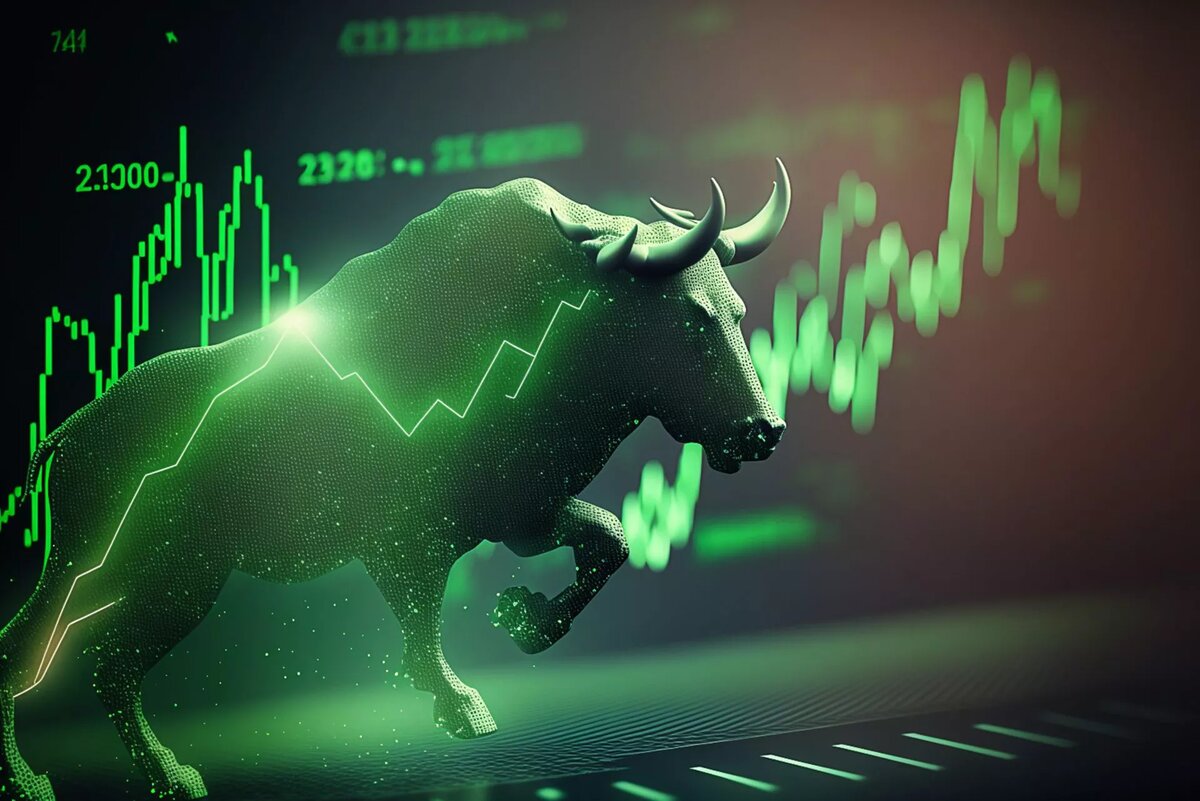 Bull run - новая площадка для заработка или очередной скам проект? |  Crypto_trader_from_Tver | Дзен