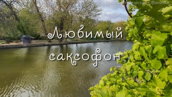 Любимый саксофон. Музыка для души