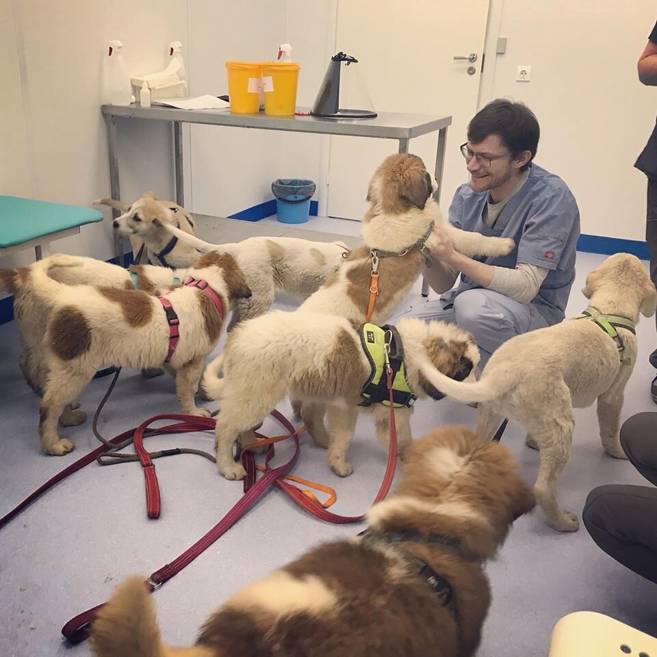 В клинике на приёме ортопеда М. В. Сотникова